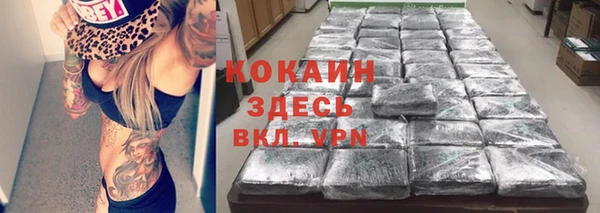 стафф Дмитров