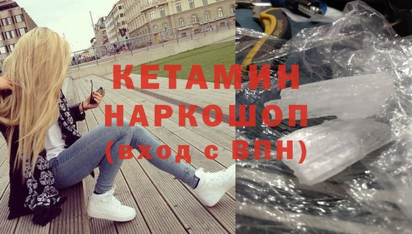 сатива Грязовец