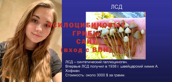 стафф Дмитров