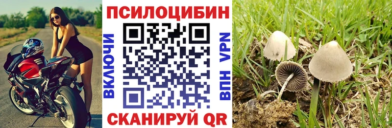 Псилоцибиновые грибы ЛСД Духовщина